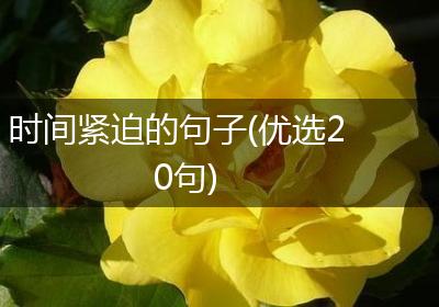 时间紧迫的句子(优选20句)