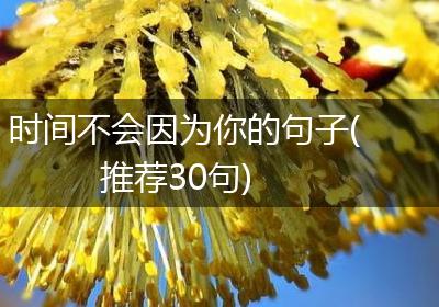 时间不会因为你的句子(推荐30句)