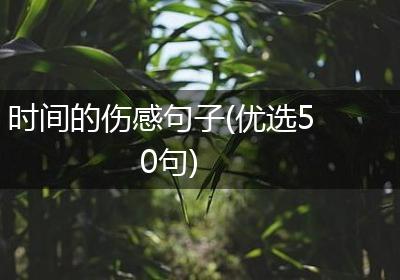 时间的伤感句子(优选50句)