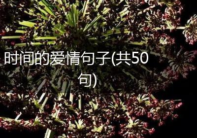 时间的爱情句子(共50句)