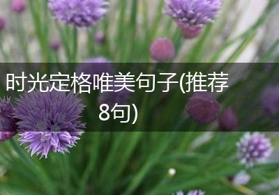 时光定格唯美句子(推荐8句)