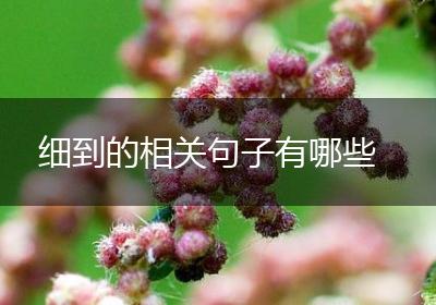 细到的相关句子有哪些