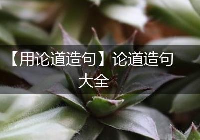 【用论道造句】论道造句大全
