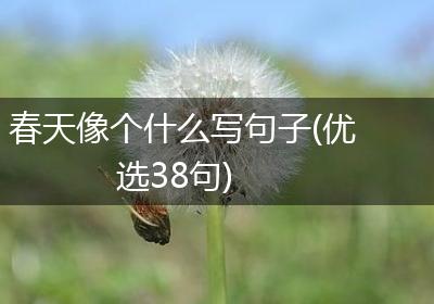 春天像个什么写句子(优选38句)