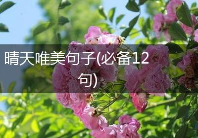 晴天唯美句子(必备12句)