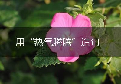 用“热气腾腾”造句