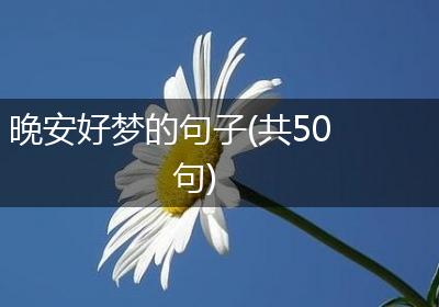 晚安好梦的句子(共50句)