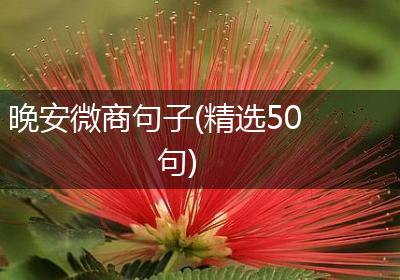 晚安微商句子(精选50句)