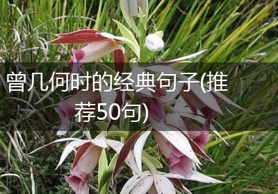 曾几何时的经典句子(推荐50句)