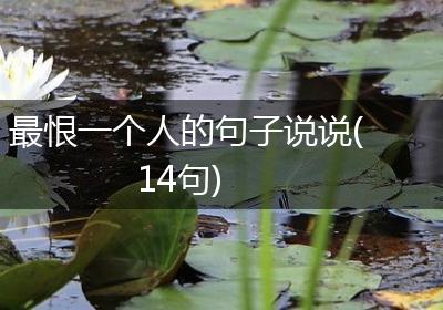 最恨一个人的句子说说(14句)