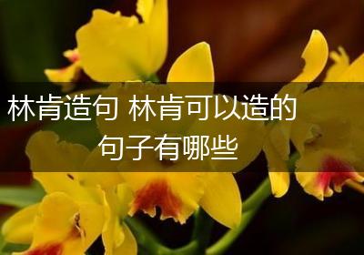 林肯造句 林肯可以造的句子有哪些