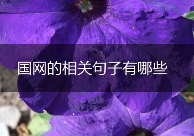 国网的相关句子有哪些
