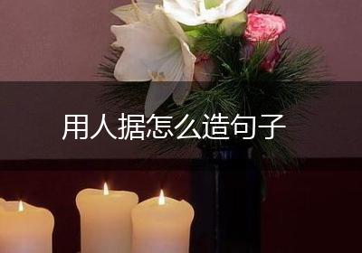 用人据怎么造句子