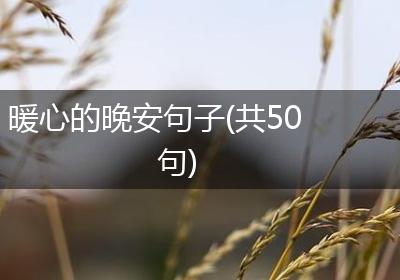 暖心的晚安句子(共50句)