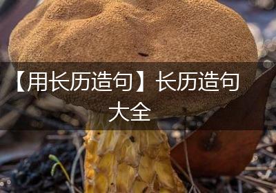 【用长历造句】长历造句大全