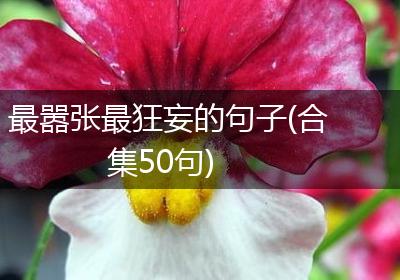 最嚣张最狂妄的句子(合集50句)