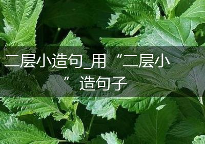 二层小造句_用“二层小”造句子