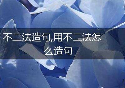 不二法造句,用不二法怎么造句