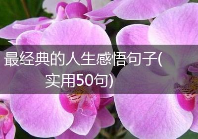 最经典的人生感悟句子(实用50句)