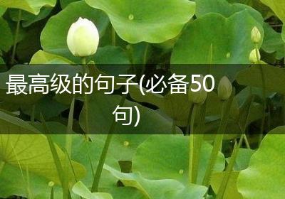最高级的句子(必备50句)