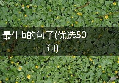 最牛b的句子(优选50句)
