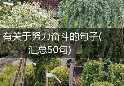 有关于努力奋斗的句子(汇总50句)