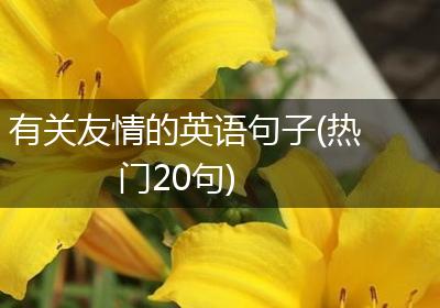 有关友情的英语句子(热门20句)