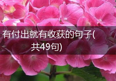 有付出就有收获的句子(共49句)