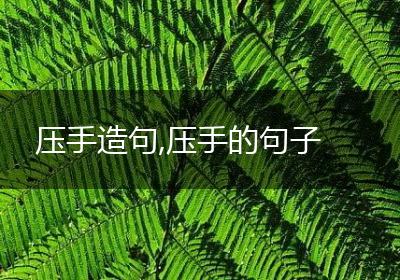 压手造句,压手的句子