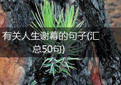 有关人生谢幕的句子(汇总50句)