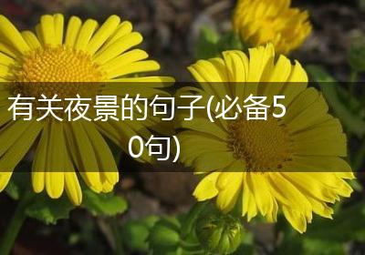 有关夜景的句子(必备50句)