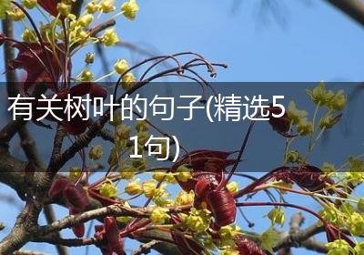 有关树叶的句子(精选51句)