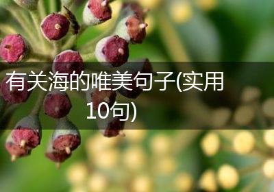 有关海的唯美句子(实用10句)