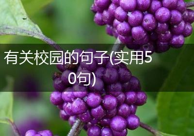 有关校园的句子(实用50句)
