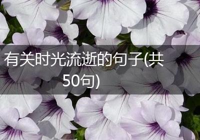 有关时光流逝的句子(共50句)
