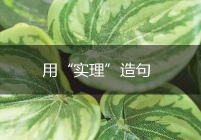 用“实理”造句