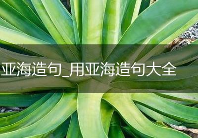 亚海造句_用亚海造句大全
