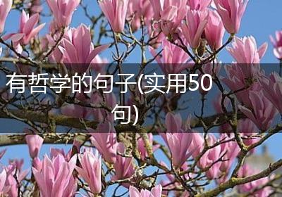 有哲学的句子(实用50句)