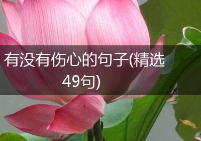 有没有伤心的句子(精选49句)