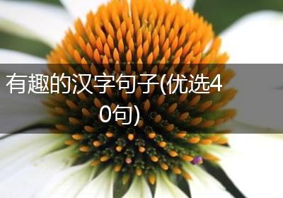有趣的汉字句子(优选40句)