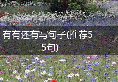 有有还有写句子(推荐55句)