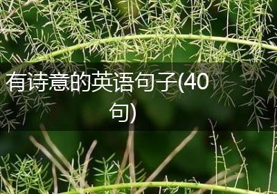 有诗意的英语句子(40句)