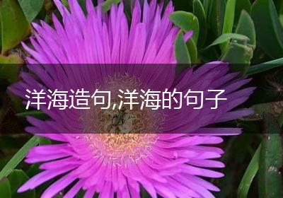 洋海造句,洋海的句子