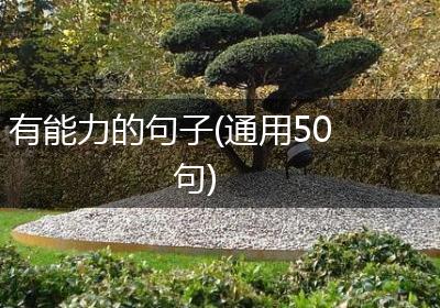 有能力的句子(通用50句)