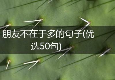 朋友不在于多的句子(优选50句)