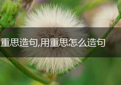 重思造句,用重思怎么造句