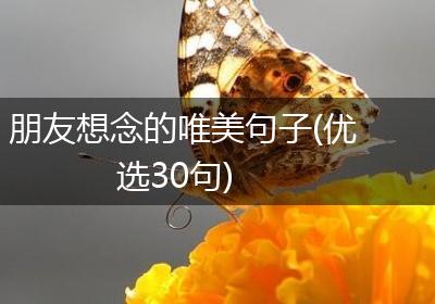 朋友想念的唯美句子(优选30句)