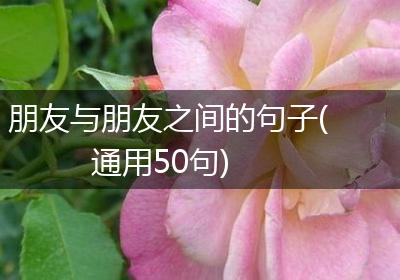 朋友与朋友之间的句子(通用50句)