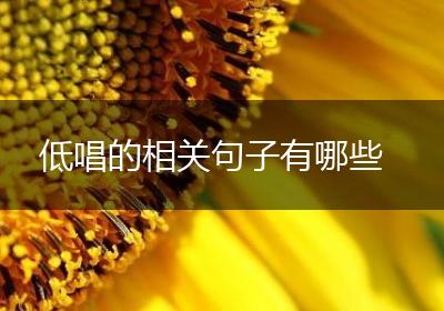 低唱的相关句子有哪些