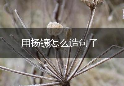 用扬镳怎么造句子
